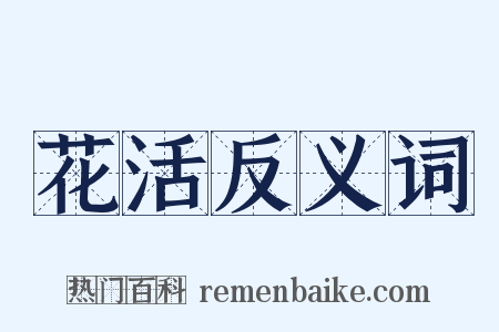 花活反义词是什么意思的图片